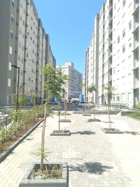 Image 0 - 250740